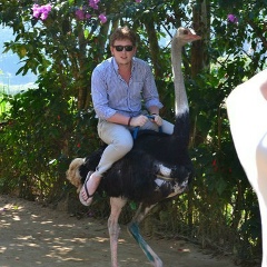 Викторс Захаровс, 29.08.1988, Москва