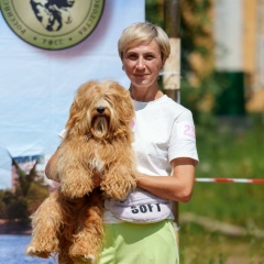 Алёна Ерёменко, 14.12, Саратов