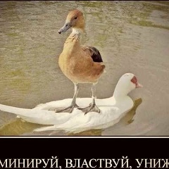 Emil Satkangulov, Москва