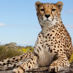 Татьяна Роуз, 25.01.1992, Москва