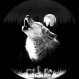 Сергей Георгиев, 28.12.1970, Таллин