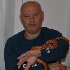 Slava Veitsman, Essen