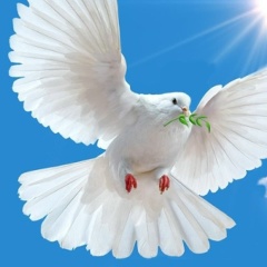 Владимир Волков, 12.03.1980, Анапа