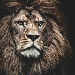 Айдын Темиргалиев, 27.01