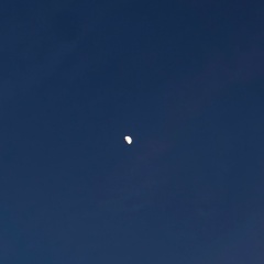 Ди Ди, 09.05.1995, Жанаозен