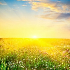 Виктор Романов, Санкт-Петербург