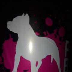 Максим Ладыка, 25.12.1986, Harare