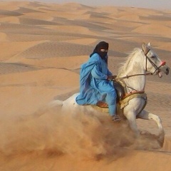 Бердібек Сакенулы, 01.11.1994, Актобе