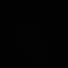 Роман Янушкевич