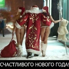 Петр Сергеев, Плевен