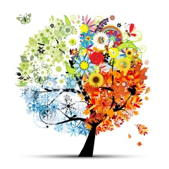 Анжела Иванова