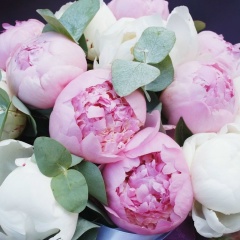 Мария Тимофеева-Куликова, Выборг