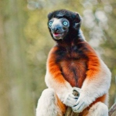 Директор Поезда, 23.04, Санкт-Петербург