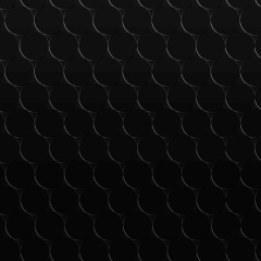 Вячеслав Гончаров, 25.04.1987, Санкт-Петербург