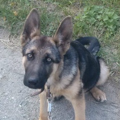 Валюша Смирнова, 05.07.1982