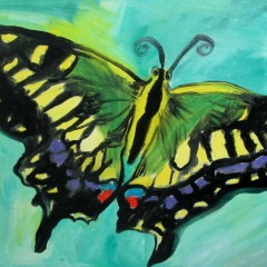 Юлия Новикова, 25.09, Санкт-Петербург