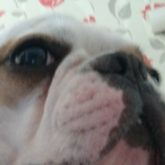 Артур Карапетян, 30.10.1991, Волгоград