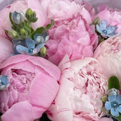 Светлана Сысоева