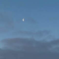 Екатерина Шегай, 11.08.1985, Москва