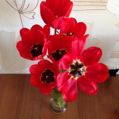 Настя Шепелевич, 16.11, Москва