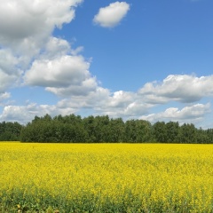 Liliya Liliya, Челябинск