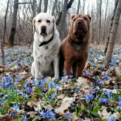 Ирина Ягодка, 07.12, Воронеж