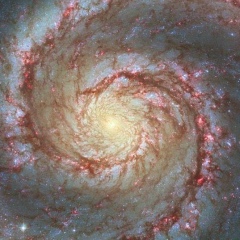 Георгий Георгий, 04.06.1987, Санкт-Петербург