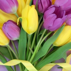 Айжан Берданова, 15.03.1961