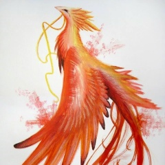 Aleksandra Valeryevna, 18.11