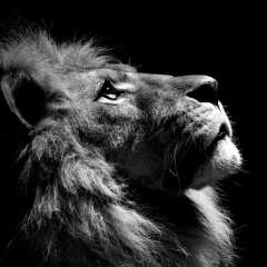 Евгений Жоров, 24.07, Ачинск