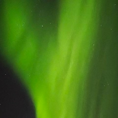 Елена Насонова, Мурманск