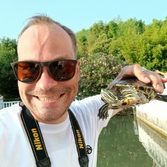 Дмитрий Пальчак, Москва