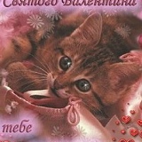 Алия Сафиуллина, 03.08.1995, Челябинск