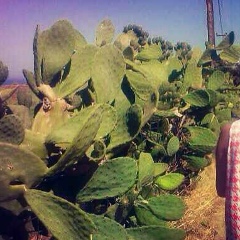 Регина Хасанова, 11.07, Уфа