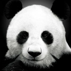 Асылхан Ешманов, 02.07.1997, Индерборский