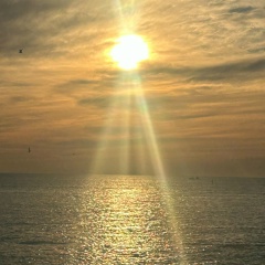 Светлана Волкова, 28.08