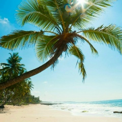 Никита Шарай, 01.07.2004