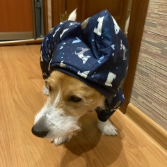 Женя Богатырёв, 15.12, Москва