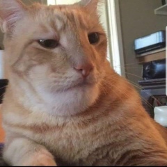 Адил Калжанов, 18.12, Актау