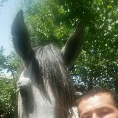 Батыржан Калиев, 12.12.1987, Шымкент