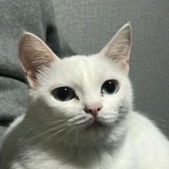 Олег Партов, 25.03, Алматы