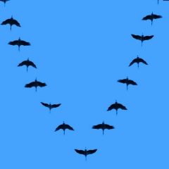 Георгий Берегнарь, Hamburg