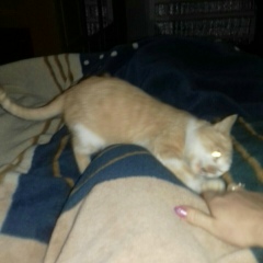 Слава Щербак, 17.08, Днепр (Днепропетровск)