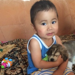 Abay Akhmetov, 25.09.1986, Актау