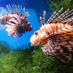 Аида Мухаметзянова, 11.03.1988, Альметьевск