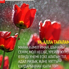 Aiman Tulenova, 23.08.1989, Шымкент