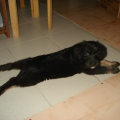 Александр Моккиев, 01.11, Санкт-Петербург