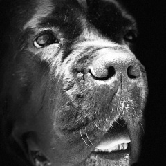 Ирина Макарова, Москва