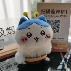 Erzhena Balzhinimaeva, 10.11, Улан-Удэ