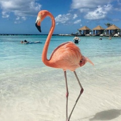 Нуска Акынбекова, 01.04.2008